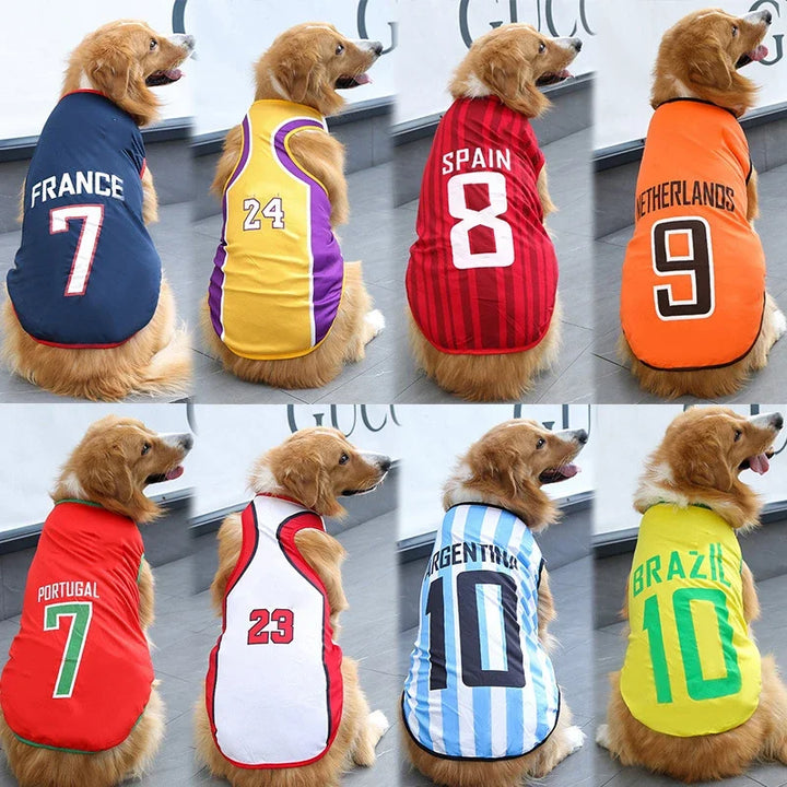 Sportswear for dogs