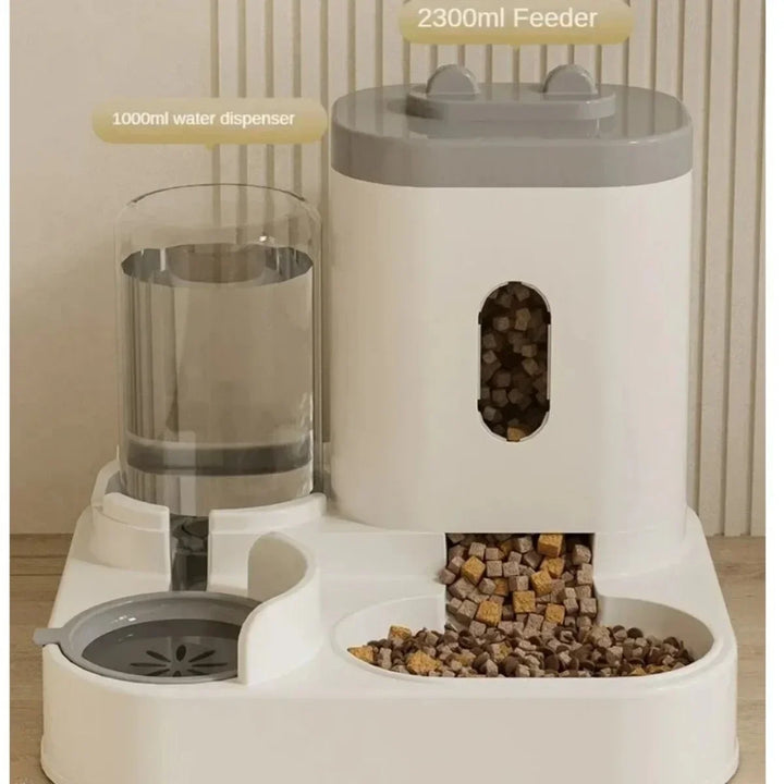 Automatic feeder for dogs and cats