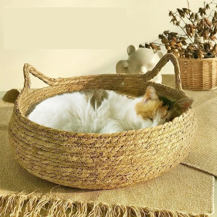 Cat bed, removable padding, fabric, sleeping house