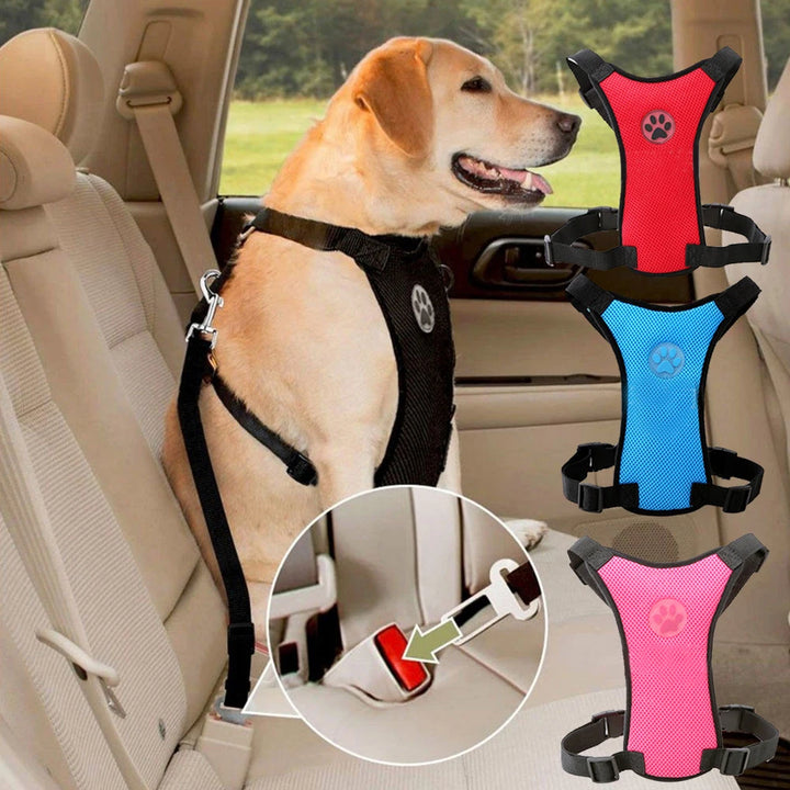 Dog seat belt, chest strap